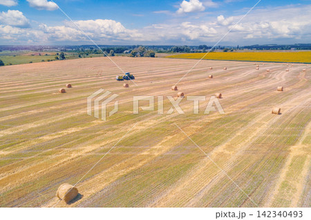Harvesting wheat. Mowed wheat field. Baling straw Harvesting wheat. Mowed wheat field. Baling straw 142340493