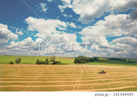 Harvesting wheat. Mowed wheat field. Baling straw Harvesting wheat. Mowed wheat field. Baling straw 142340495