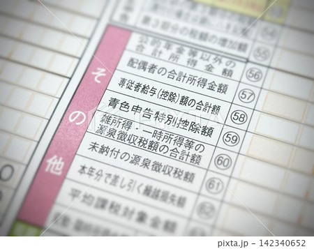 所得税確定申告書の「青色申告特別控除額」の項目 142340652