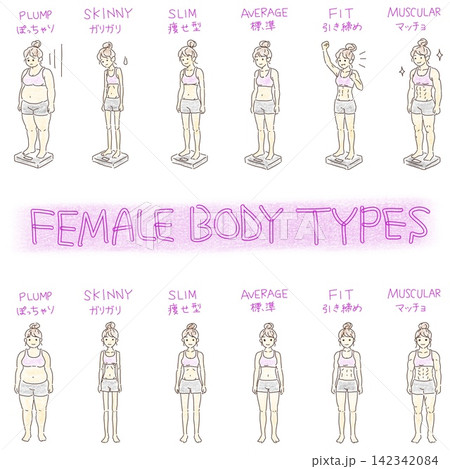 女性のさまざまな体型を比較したイラストセット 女性のさまざまな体型を比較したイラストセット 142342084