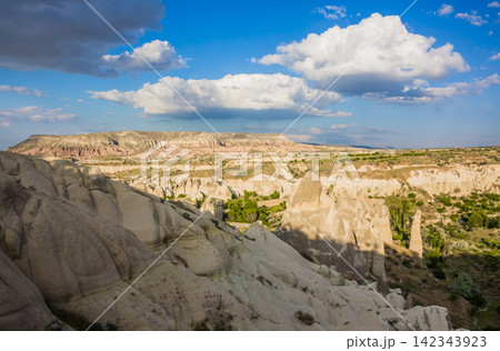 landscape with rock formation 142343923