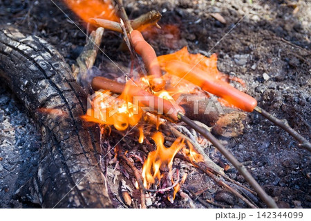 Little picnic with family. Sausages and bread are fried over a small fire. Grilling sausages over a campfire in the forest. Holiday and spring camping in the countryside. Little picnic with family. Sausages and bread are fried over a small fire. Grilling sausages over a campfire in the forest. Holiday and spring camping in the countryside. 142344099