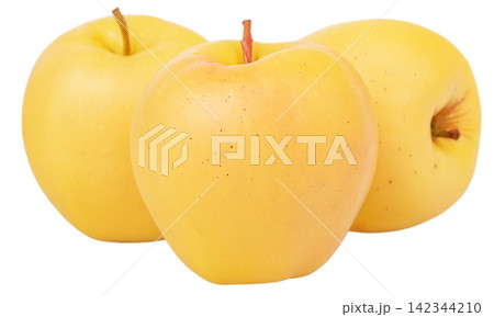 Three yellow apples of the Golden Delicious variety, isolated. The fruit is a delicious apple. 142344210