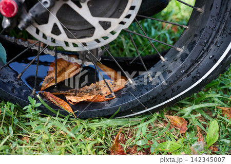 Flat tire on an electric fat bike standing in a puddle with autumn leaves Flat tire on an electric fat bike standing in a puddle with autumn leaves 142345007