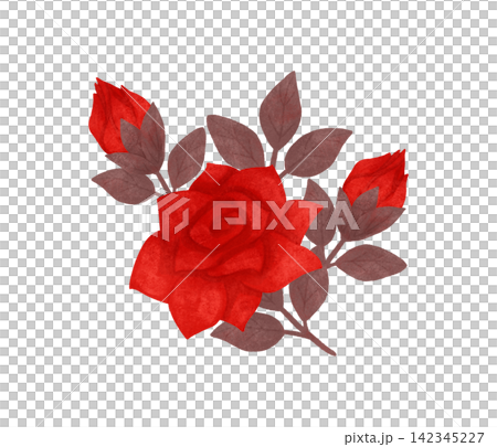 A small floral arrangement. Red, scarlet roses, watercolor, pastel. Isolated composition. Hand drawn in a flat style. A design element for printing A small floral arrangement. Red, scarlet roses, watercolor, pastel. Isolated composition. Hand drawn in a flat style. A design element for printing 142345227