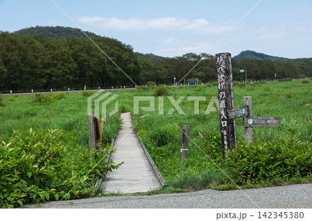 夏の榛名山 ゆうすげの道 夏の榛名山 ゆうすげの道 142345380