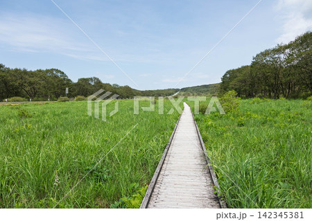 夏の榛名山 ゆうすげの道 夏の榛名山 ゆうすげの道 142345381