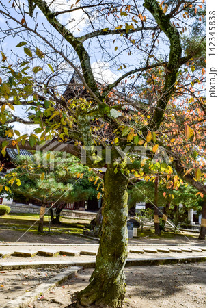 京都の秋・紅葉の季節 京都の秋・紅葉の季節 142345838