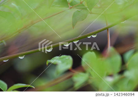 水滴 水滴 142346094