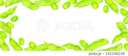 枝豆のフレーム　夏野菜の手描き水彩イラスト背景素材 142346246