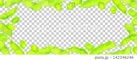 枝豆のフレーム　夏野菜の手描き水彩イラスト背景素材 142346246