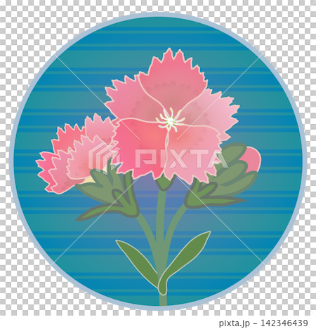 一幅鮭魚粉紅色石竹花的插圖,背景為圓形。 一幅鮭魚粉紅色石竹花的插圖,背景為圓形。 142346439