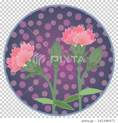 一幅鮭魚粉紅色石竹花的插圖，背景為圓形。 142346471