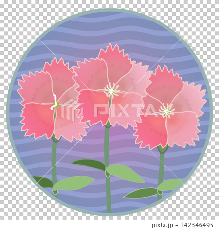 Illustration of a salmon pink dianthus with a circular background. Illustration of a salmon pink dianthus with a circular background. 142346495