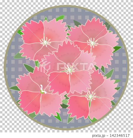 一幅鮭魚粉紅色石竹花的插圖，背景為圓形。 142346517