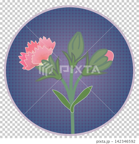 円形背景のついたサーモンピンクのダイアンサスのイラスト 円形背景のついたサーモンピンクのダイアンサスのイラスト 142346592