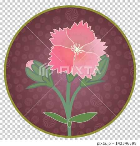 Illustration of a salmon pink dianthus with a circular background. Illustration of a salmon pink dianthus with a circular background. 142346599