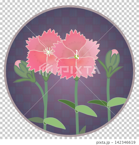 Illustration of a salmon pink dianthus with a circular background. Illustration of a salmon pink dianthus with a circular background. 142346619
