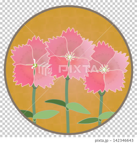 Illustration of a salmon pink dianthus with a circular background. Illustration of a salmon pink dianthus with a circular background. 142346643