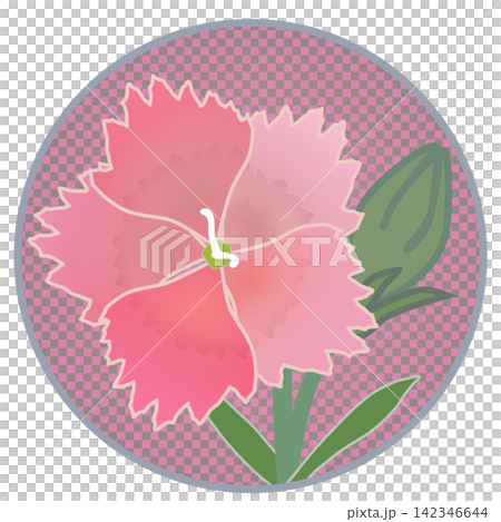 Illustration of a salmon pink dianthus with a circular background. Illustration of a salmon pink dianthus with a circular background. 142346644