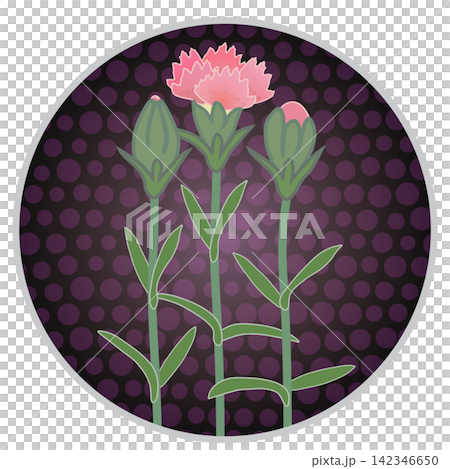Illustration of a salmon pink dianthus with a circular background. Illustration of a salmon pink dianthus with a circular background. 142346650