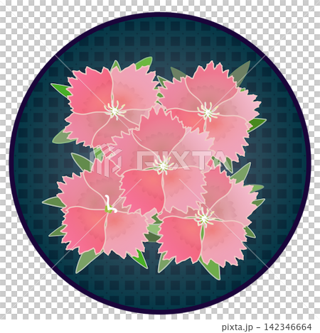 Illustration of a salmon pink dianthus with a circular background. Illustration of a salmon pink dianthus with a circular background. 142346664