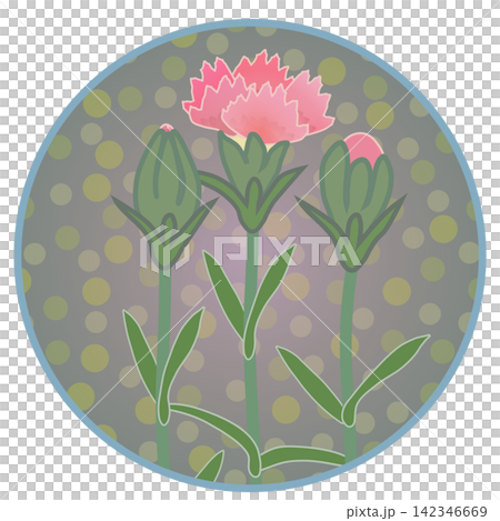 Illustration of a salmon pink dianthus with a circular background. Illustration of a salmon pink dianthus with a circular background. 142346669