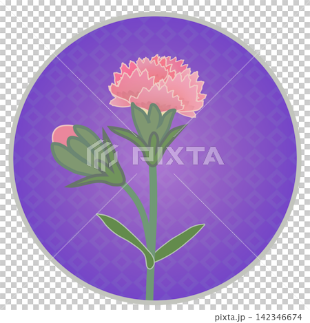 Illustration of a salmon pink dianthus with a circular background. Illustration of a salmon pink dianthus with a circular background. 142346674