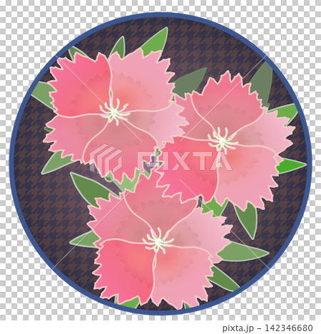 一幅鮭魚粉紅色石竹花的插圖,背景為圓形。 一幅鮭魚粉紅色石竹花的插圖,背景為圓形。 142346680