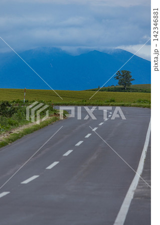 日本 北海道美瑛町・美しいカーブを描く丘の道路の先に佇む一本の木と雄大な山並み 日本 北海道美瑛町・美しいカーブを描く丘の道路の先に佇む一本の木と雄大な山並み 142346881