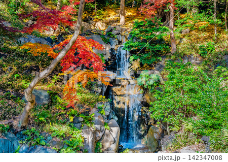 東京 旧古河庭園 紅葉 東京 旧古河庭園 紅葉 142347008