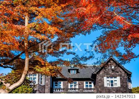 東京 旧古河庭園 紅葉 東京 旧古河庭園 紅葉 142347013