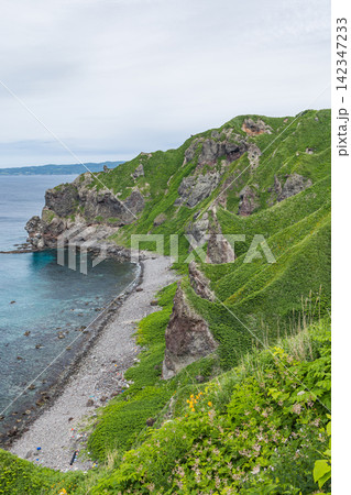 日本 北海道積丹町・神威岬のダイナミックな断崖絶壁と緑に覆われた険しい山肌 日本 北海道積丹町・神威岬のダイナミックな断崖絶壁と緑に覆われた険しい山肌 142347233