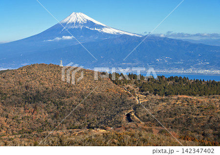 伊豆半島 伊豆山稜線歩道 小達磨山から望む金冠山の向こうの富士山 伊豆半島 伊豆山稜線歩道 小達磨山から望む金冠山の向こうの富士山 142347402