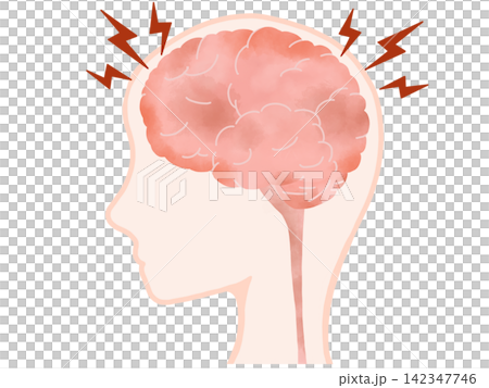 Brain and spinal cord illustration, female profile, headache/stress (with skin fill and transparent background) Brain and spinal cord illustration, female profile, headache/stress (with skin fill and transparent background) 142347746