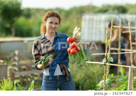 Adult woman with vegetable harvest in cottage garden Adult woman with vegetable harvest in cottage garden 142347827