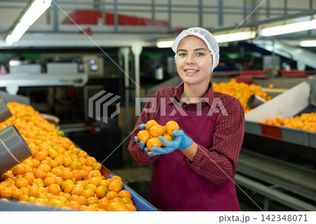 Cheerful girl sorting mandarins on conveyor line of factory 142348071