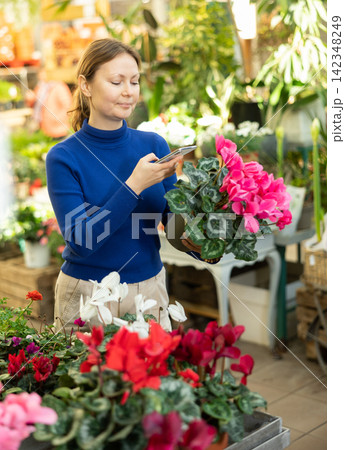 visitor to flower shop scans QR code on label of exotic cyclamen visitor to flower shop scans QR code on label of exotic cyclamen 142348249