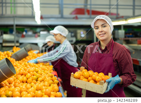 Cheerful girl worker with box of tangerines at fruit sorting factory Cheerful girl worker with box of tangerines at fruit sorting factory 142348289