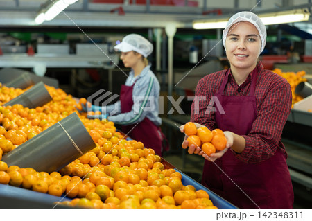 Happy female fruit sorting factory worker holding tangerines Happy female fruit sorting factory worker holding tangerines 142348311