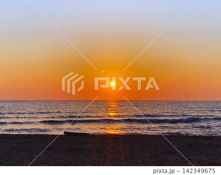 夕日が沈む流木と砂浜の風景 142349675