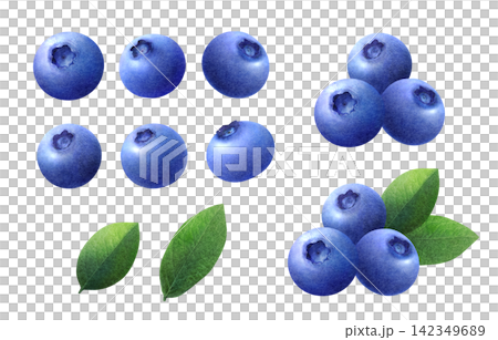 Watercolor illustration set of fresh blueberries and leaves Watercolor illustration set of fresh blueberries and leaves 142349689
