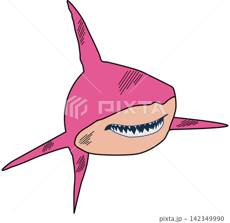 Stylized Hand-Drawn Pink Shark Illustration Stylized Hand-Drawn Pink Shark Illustration 142349990
