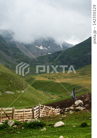 Mountain valley landscape with wooden fence and horses Mountain valley landscape with wooden fence and horses 142350129