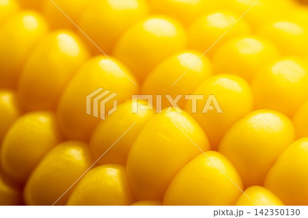 Macro shot of fresh yellow corn kernels on cob 142350130