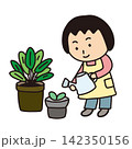 植木に水やりしている女性 142350156