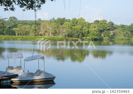 White pedal boat moored beside a wooden dock on a calm lake surrounded by green tropical forest in morning light. Recreation, peaceful travel, nature escape and outdoor leisure. Eco friendly outdoor. White pedal boat moored beside a wooden dock on a calm lake surrounded by green tropical forest in morning light. Recreation, peaceful travel, nature escape and outdoor leisure. Eco friendly outdoor. 142350465