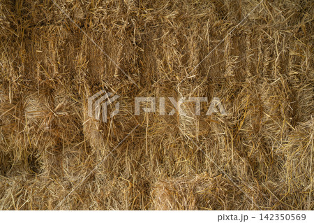 Dry straw bale stacks for livestock fodder and bedding. Agricultural byproducts stored in shelter for sustainable cattle farming. Dry agricultural residue as animal feed and livestock bedding. Dry straw bale stacks for livestock fodder and bedding. Agricultural byproducts stored in shelter for sustainable cattle farming. Dry agricultural residue as animal feed and livestock bedding. 142350569