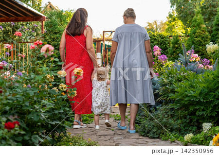 Grandmother Mother And Granddaughter Walking Together In Garden Grandmother Mother And Granddaughter Walking Together In Garden 142350956