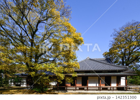 京都御苑 閑院宮邸跡 晩秋 京都御苑 閑院宮邸跡 晩秋 142351300